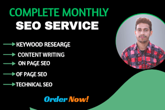 do complete monthly SEO service to maximize traffic and visibility