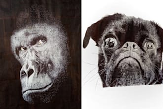draw realistic pencil drawing, pen drawing, acrylic paint portrait drawing
