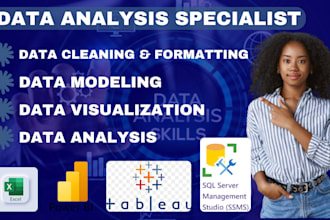 do data cleaning, data visualization using ms excel, power bi, tableau dashboard