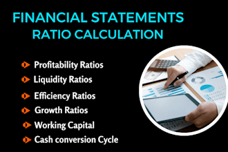 calculate financial ratios for financial statements