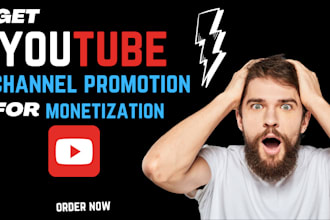 complete youtube channel promotion for monetization