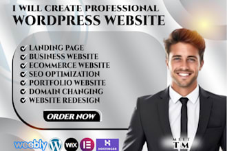 wordpress website landing page business website with godaddy bluehost
