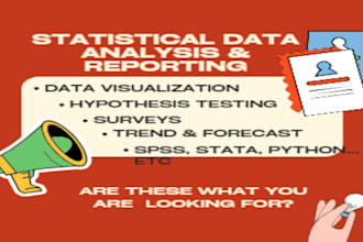 do professional statistical data analysis and reporting