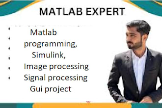 assist you matlab programming, simulink, image,signal processing and gui project