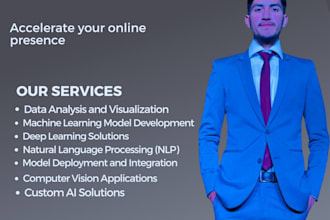 ai and data science expert ml dl nlp and image processing solutions