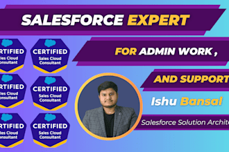 be your salesforce administrator for all admin tasks