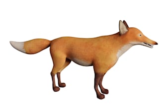 make realistic 3d animal model, grooming fur, cgi animal animation, xgen fur