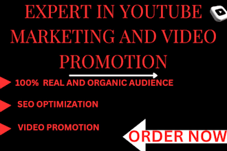 do youtube and video promotion, seo optimization, organic shoutout