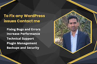 fix wordpress issues like errors bugs problems etc