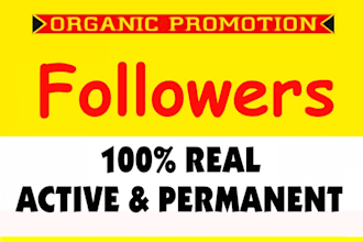instagram, fb, twitter marketing organic followers growth