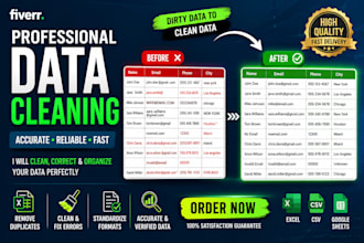 excel data entry and excel data cleaning, data cleanup