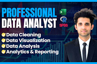 do data analysis, cleaning, visualization by r, spss, excel in 6 hrs