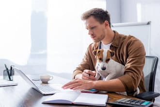 get 1000 respondents to fill your online survey, questionnaire and analysis