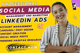 manage instagram carousel linkedin ads campaign linked in post marketing manager