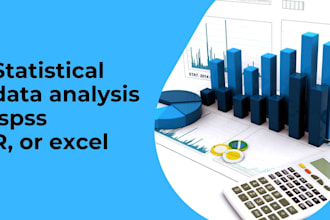 perform statistical data analysis with spss, r, or excel