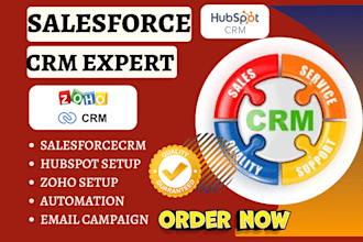setup crm salesforce hubspot pipedrive zoho integration and workflow automation