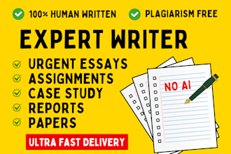 write report, assignment, research and summary, case studies, paper