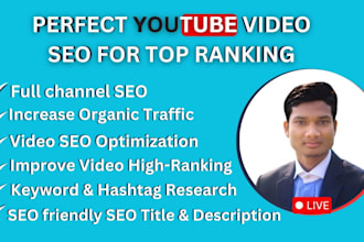 do your youtube video SEO optimization and organic promotion