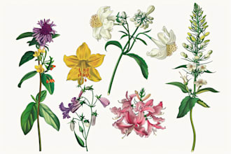 paint botanical illustrations of flowers, plants, line art