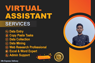 be your virtual assistant for data entry, web research, admin tasks
