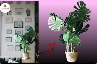 change, remove background of HD images like people, items in 4hrs