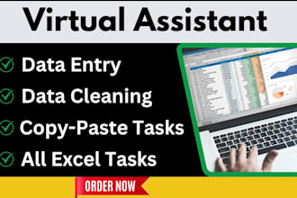 do fast and accurate data entry, copy paste, excel spreadsheet and typing work
