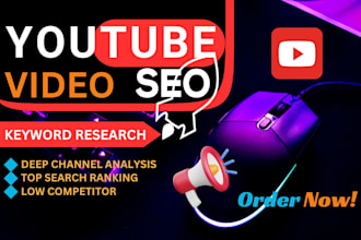provide youtube SEO service for improving your video ranking