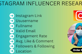 expert instagram influencer researcher for your niche