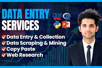 do excel data entry, copy paste and web research in 3 hours