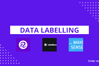 do image annotation bounding box and segmentation, data labeling for ai model