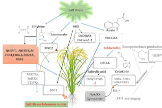 do advanced plant science genetics and molecular analysis