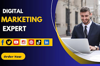 ill handle your social media marketing and produce