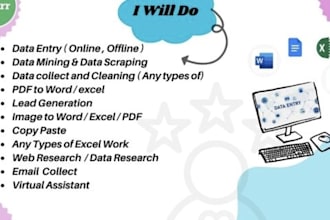 do accurate data entry, web research, copy paste and excel tasks