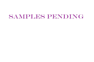 copy edit and proofread your novel