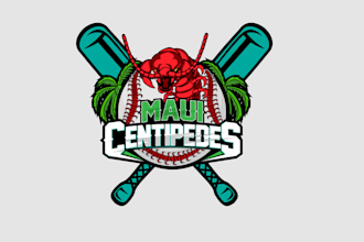 design capture essence professional baseball team logo