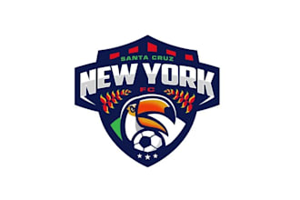 design professional soccer team logo