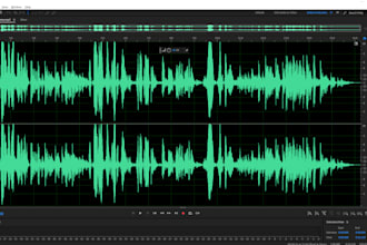 edit audio, cleanup, enhance, fix sound, noise removal any audio or video