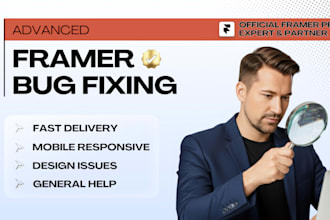 fix or optimize your framer website
