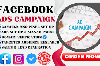 setup facebook and instagram marketing ads campaign, meta ads and fb pixel setup