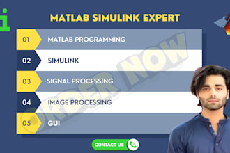 do programming,simulink, and control system as matlab expert