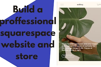 develop squarespace website redesign squarespace online store squarespace seo