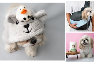 create stunning and captivating animal product photography