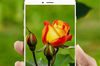create image classification android app and train custom model using tensorflow