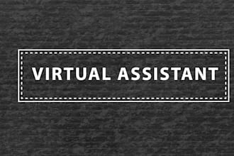 be your professional virtual assistant