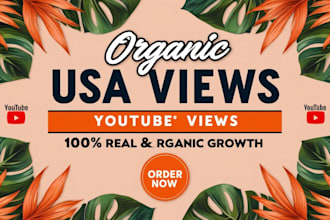 do USA youtube promotion to usa targeted audience