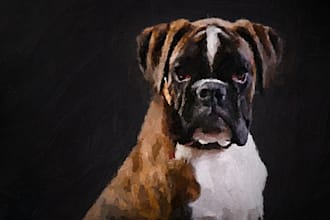 paint your pet in an oil painting style