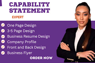 design a professional government capability statement, capability statement