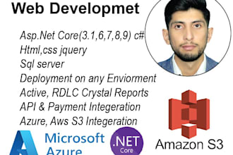 professional asp net core web development with sql integration for website