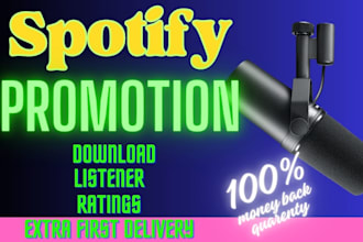 promote music on spotify through spotify ads campaigns