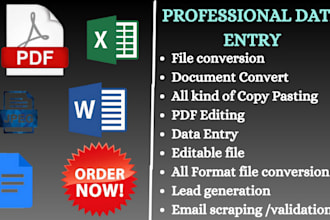 file conversions, data processing, data cleanup with accuracy, redesign, indesgn